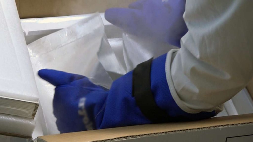 Vaccinate a Siena 3831 persone: la campagna vaccinale prosegue a pieno ritmo