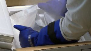 Vaccinate a Siena 3831 persone: la campagna vaccinale prosegue a pieno ritmo