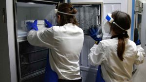 Vaccini anti-Covid, in Toscana 30mila nuove dosi Pfizer per gli ultraottantenni