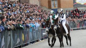 Torrita di Siena ritrova la tradizione del Palio dei Somari