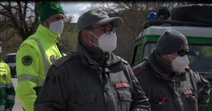 Felino avvistato a Radi, proseguono anche oggi le ricerche