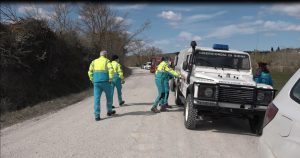 Leone a Radi, cinque avvistamenti ma ricerche interrotte