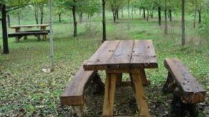 Chianciano Terme, il sindaco chiude parchi e giardini pubblici