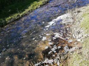 Schiume nel fiume Staggia a Poggibonsi, Arpat monitora la situazione