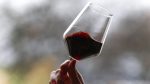 Siena, al via il Concorso Enologico Internazionale Città del Vino