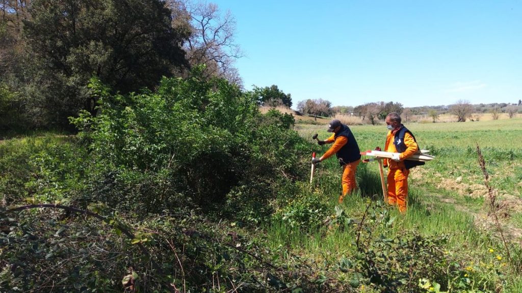 Tracciare i nidi degli uccelli prima degli interventi: a lavoro le squadre del Consorzio di Bonifica