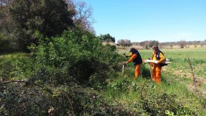 Tracciare i nidi degli uccelli prima degli interventi: a lavoro le squadre del Consorzio di Bonifica