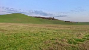 Fondazione Mps e Vezua: collaborazione per la valorizzazione sociale e ambientale