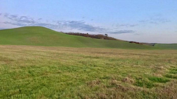 Fondazione Mps e Vezua: collaborazione per la valorizzazione sociale e ambientale