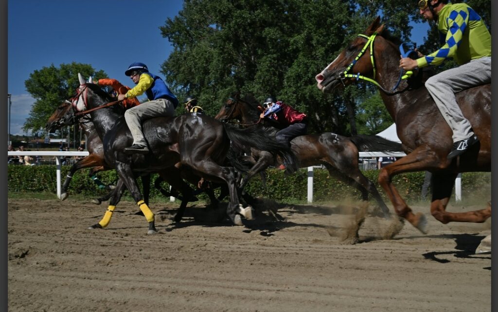 Corse di Fucecchio, tutti i risultati. Migheli vince il "memorial Andrea Mari"