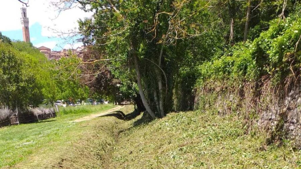 Siena: Consorzio di Bonifica 6 Toscana Sud, interventi di manutenzione del fosso Val di Montone