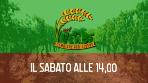 Le nanospugne dell'Università di Siena protagoniste di "Nel Verde", alle 14 su Siena Tv