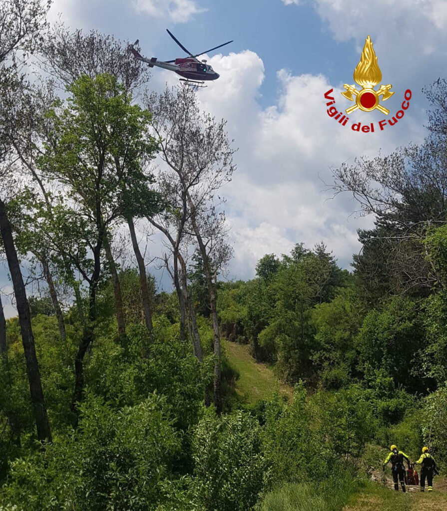 Vigili del fuoco salvano 77enne disperso nella campagna di Campiglia