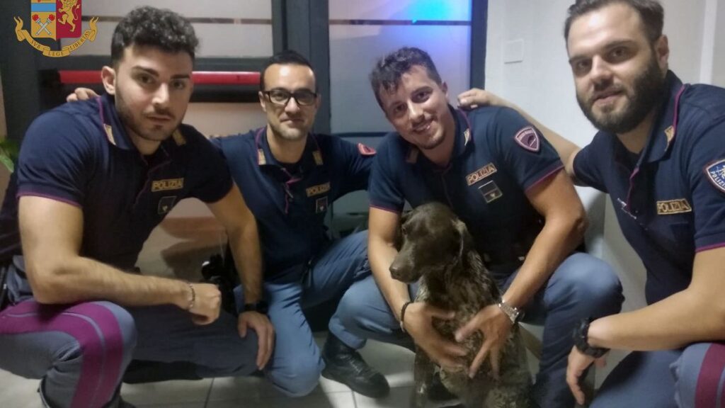 Cane cade nel fiume Elsa e rischia di annegare: salvato dalla Polizia di Stato