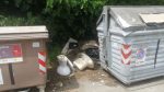 Degrado in strada di Ficareto: discarica a cielo aperto nella piazzola dei cassonetti
