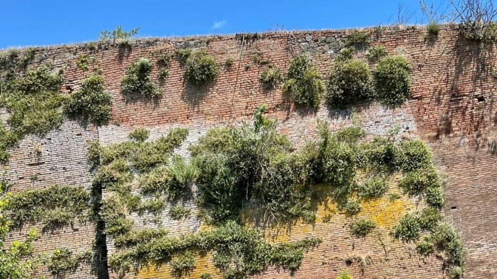 Sena Civitas, dito puntato sulle condizioni delle mura e dei fortini del Peruzzi