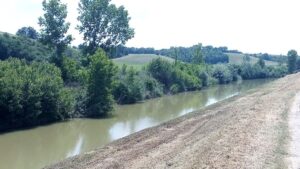 Consorzio di Bonifica, intervento di pulizia sul torrente Arbia