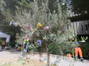 Siena: giornata della legalit&agrave;, piantato un ulivo alla Lizza nel ricordo delle vittime delle mafie