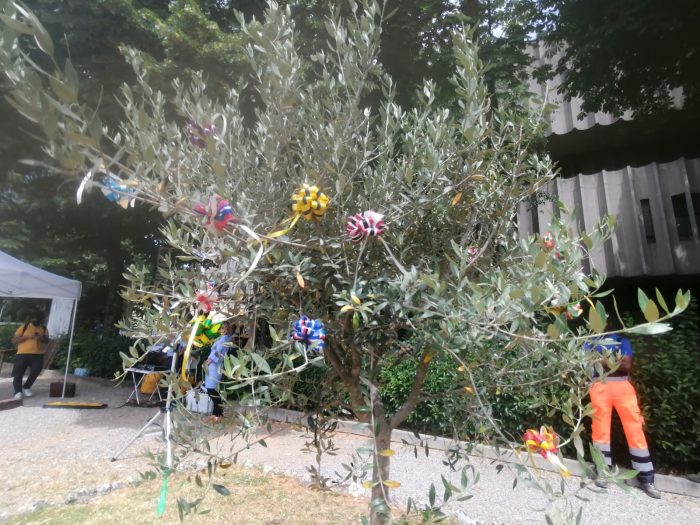 Siena: giornata della legalit&agrave;, piantato un ulivo alla Lizza nel ricordo delle vittime delle mafie