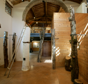 Sovicille: riaperto al pubblico il Museo del Bosco di Orgia