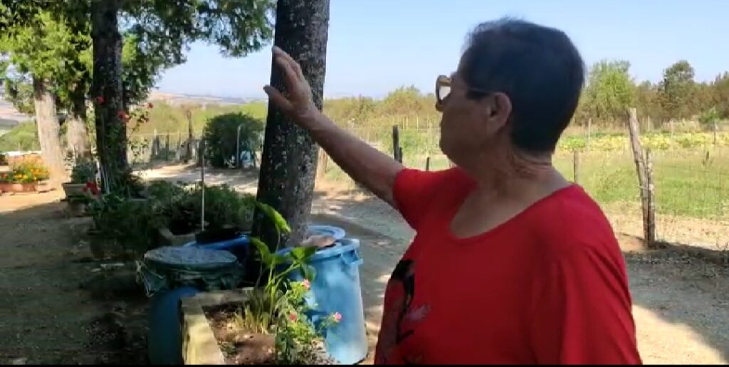 Incendio ad Asciano, i residenti a Siena Tv: "Fiamme vicine alle case, una grande paura"