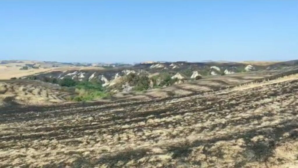 Incendio colposo ad Asciano, Forestale denuncia una persona