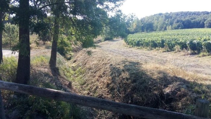 Casciano di Murlo, intervento del Consorzio di Bonifica sul fosso dell'Infernaccio