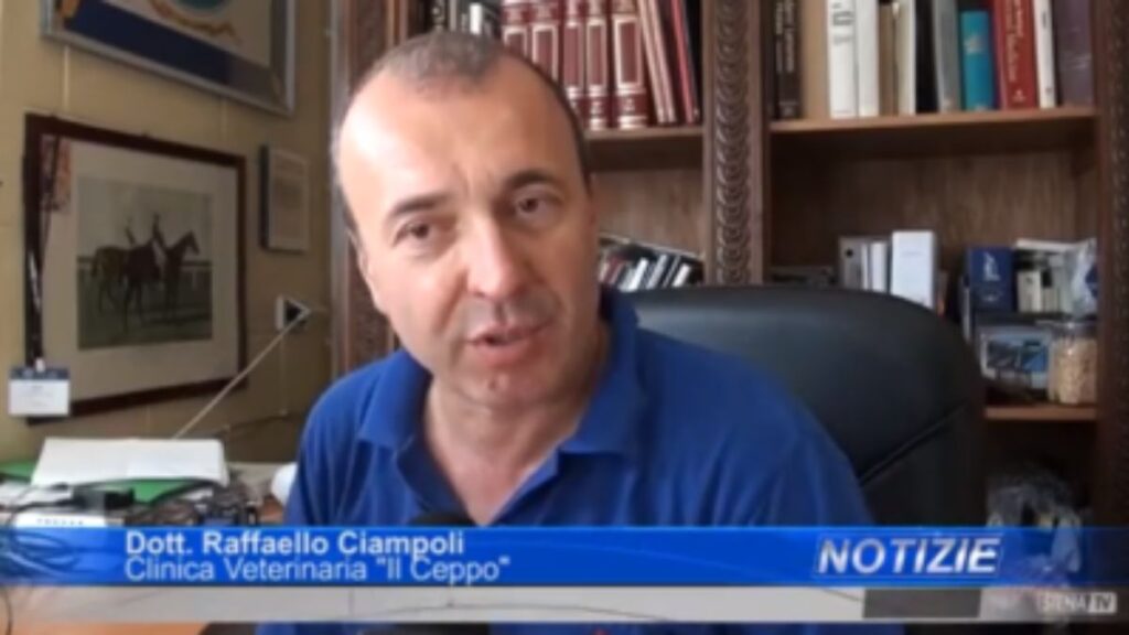 Plasma inviato dal Ceppo alla Sardegna, Ciampoli: "Legame stretto, &egrave; il minimo che potessi fare"