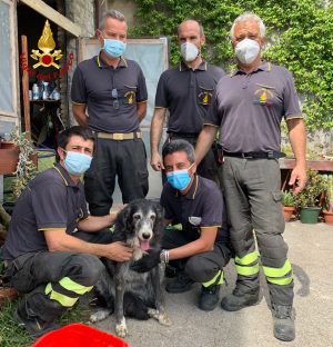 Cane intrappolato in un cunicolo, i vigili del fuoco lo salvano
