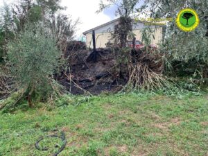 Siena, incendio di vegetazione in localit&agrave; strada del Castagno