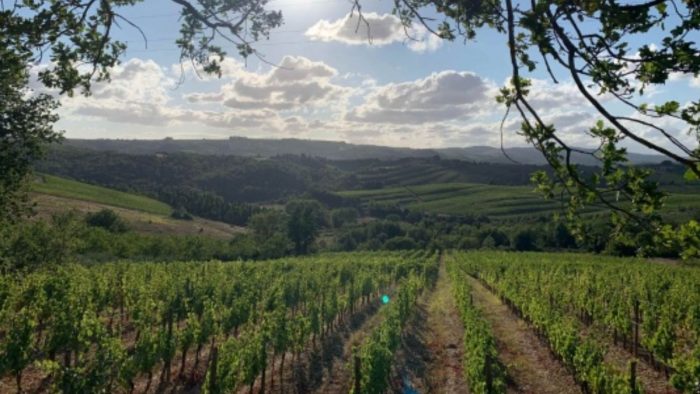 Misericordie del Chianti senese: c&rsquo;&egrave; bisogno di formare nuovi volontari