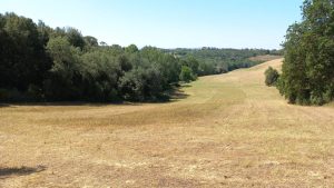 Consorzio di Bonifica e Tartufai senesi insieme per tutelare un bene prezioso