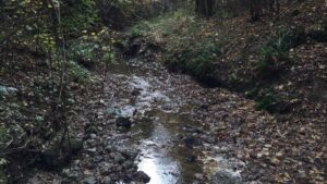 Tressa, presto al via i lavori per rinforzare le sponde del torrente