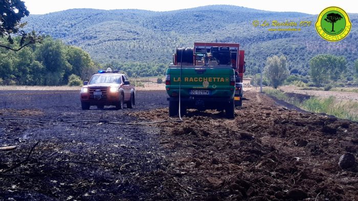 Monteriggioni, domato incendio boschivo in localit&agrave; la Colonna
