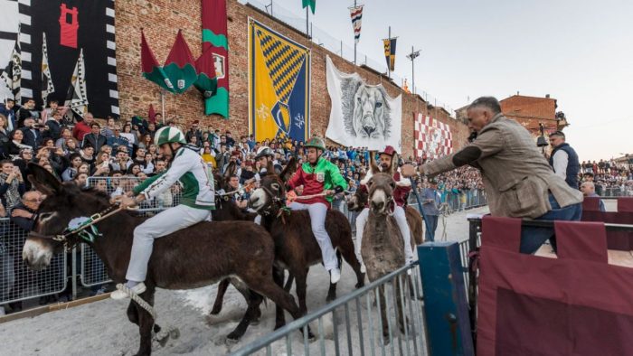 Torrita di Siena, cresce l'attesa per il Palio dei Somari