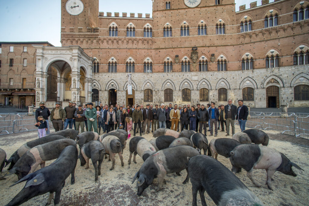 &ldquo;La Cinta Senese torna in Piazza del Campo&rdquo;: al via a Siena grande campagna promozionale