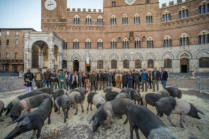 “La Cinta Senese torna in Piazza del Campo”: al via a Siena grande campagna promozionale
