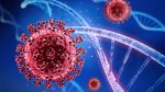 “Long Covid”, anche Siena ha collaborato ad un importante studio internazionale che ne rivela la genetica
