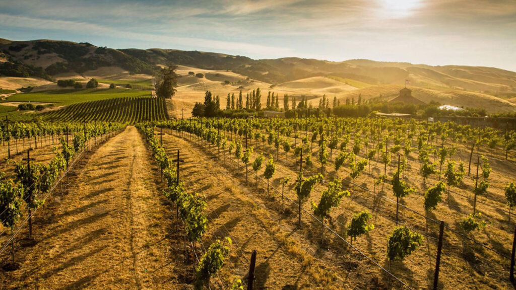 Il Comune di Montalcino si unisce in gemellaggio con la città di Napa (California, USA)