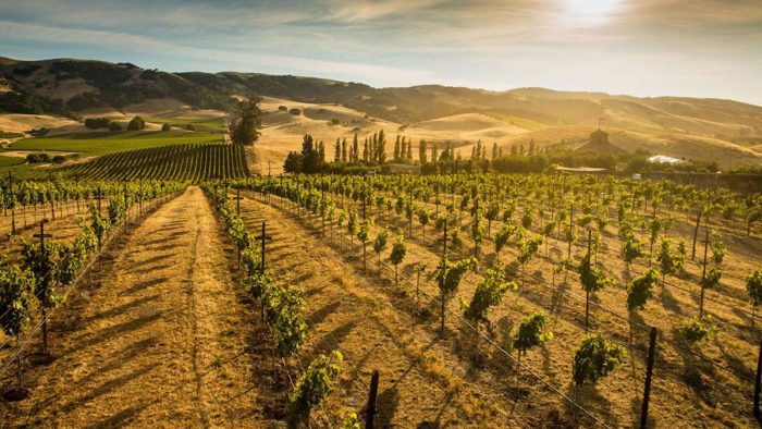 Il Comune di Montalcino si unisce in gemellaggio con la citt&agrave; di Napa (California, USA)