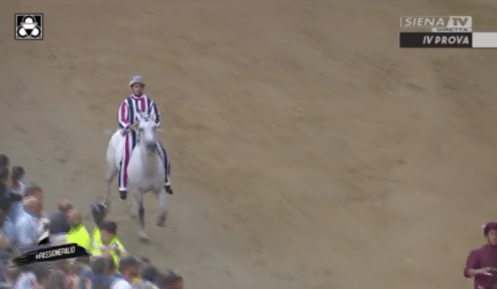 Siena: Palio, &egrave; morto il cavallo Oppio
