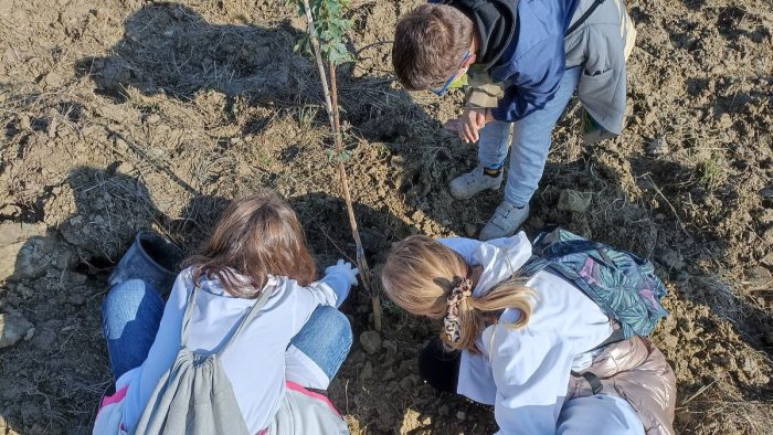 "Alberi, non parole", a Montepulciano nasce il bosco piantato dai viticoltori