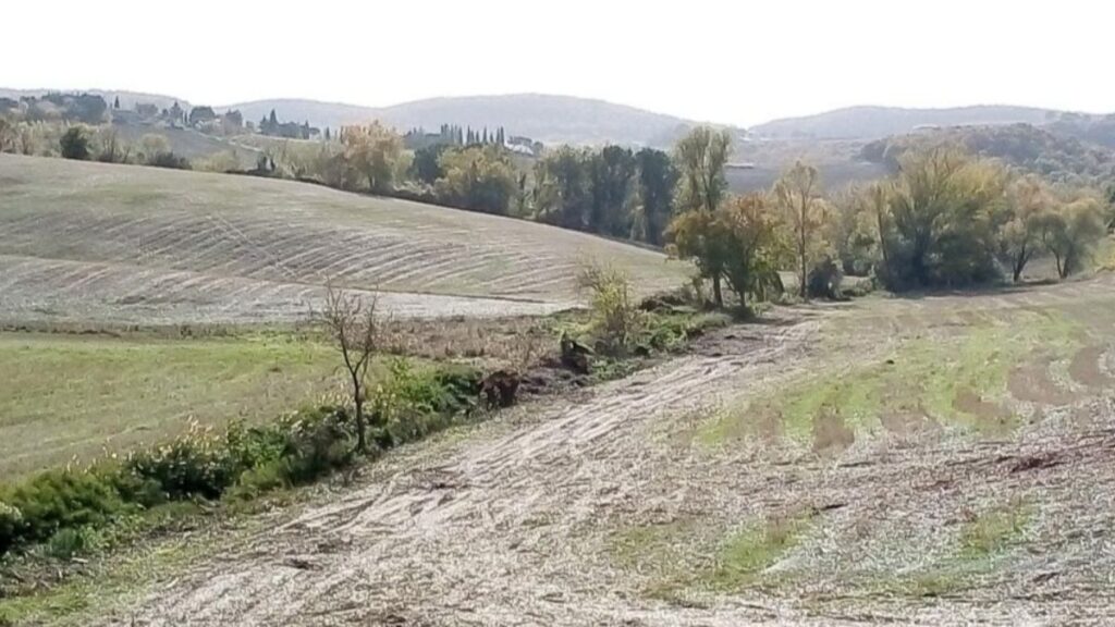 Montepulciano, messa in sicurezza l'area artigianale sul fosso Caselle