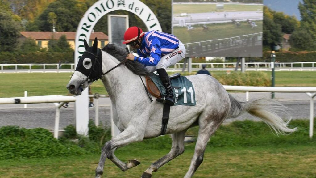 Ippica, Atzeni team vince i due Gran Premi del Visarno