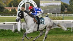 Ippica, Atzeni team vince i due Gran Premi del Visarno