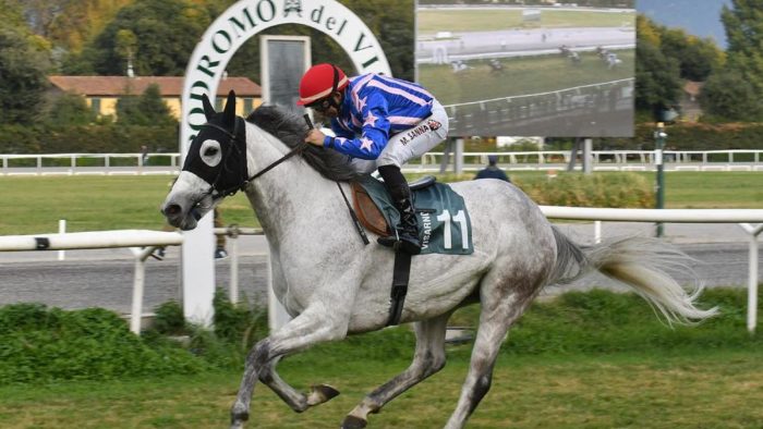 Ippica, Atzeni team vince i due Gran Premi del Visarno