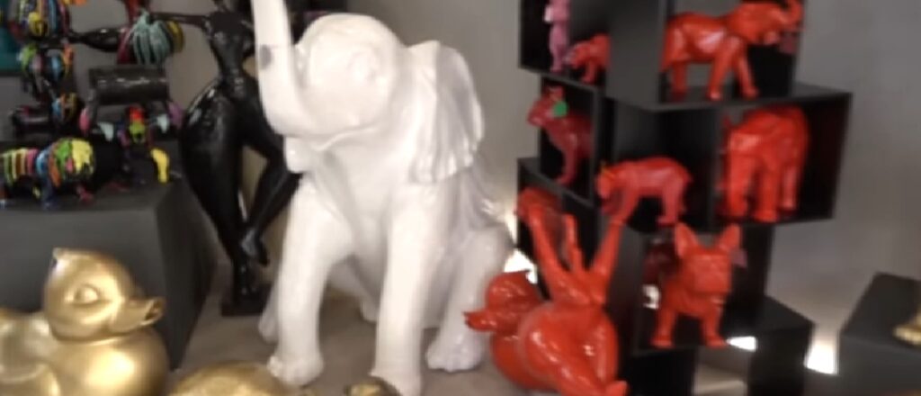 Siena, la scommessa di Niccol&ograve;: a 19 anni sfida la crisi e apre negozio innovativo