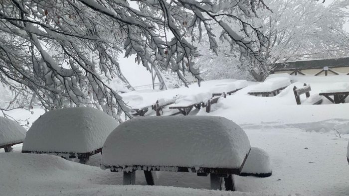 La neve danneggia la struttura: nuova sede per il drive through di Abbadia San Salvatore