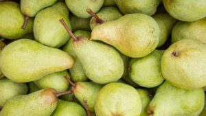 Frutta, Confagricoltura Toscana: "Male il 2021. Mancata produzione da 50% a 100%"