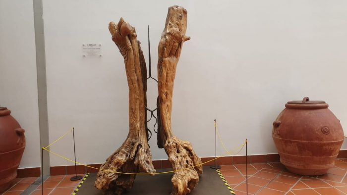 Ospedale di Nottola, donata un’opera in memoria dell'infermiere Guido Masneri